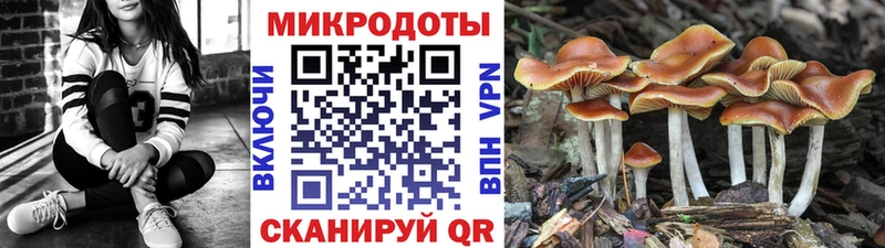 Галлюциногенные грибы мухоморы  Бирск 