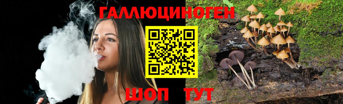 Псилоцибиновые грибы MAGIC MUSHROOMS  Вход с VPN  Бирск 